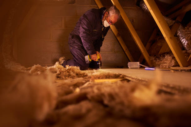 Best Cellulose Insulation in Ocean Shores, WA